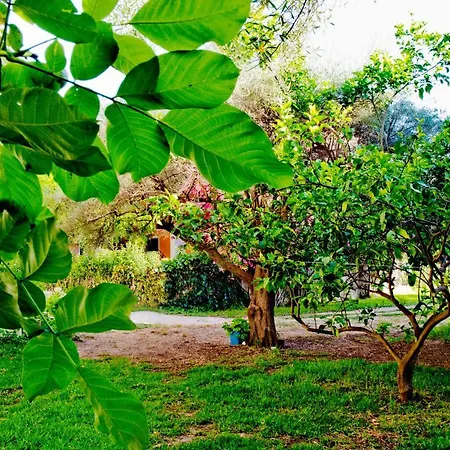 Daniel Ξενοδοχείο με διαμερίσματα