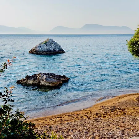 Daniel 3* Νικιάνα
